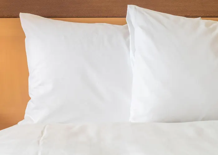 Express & - Orland Park By Ihg Mokena
