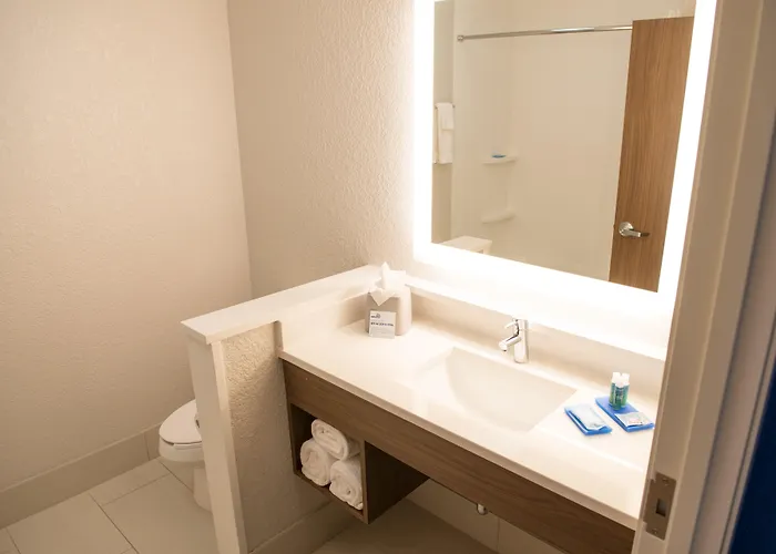 Express & - Orland Park By Ihg Hotel Mokena